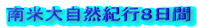 南米大自然紀行８日間